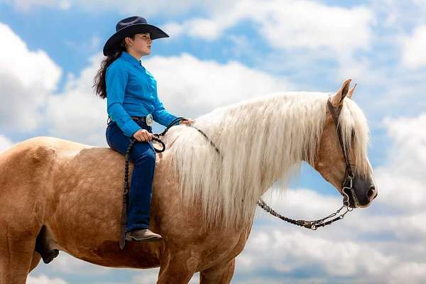 horsemanship-quarter-horse