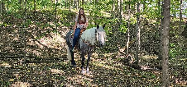 ranch-versatility-quarter-horse