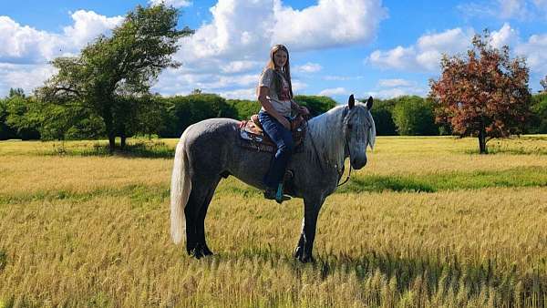 trail-riding-quarter-horse