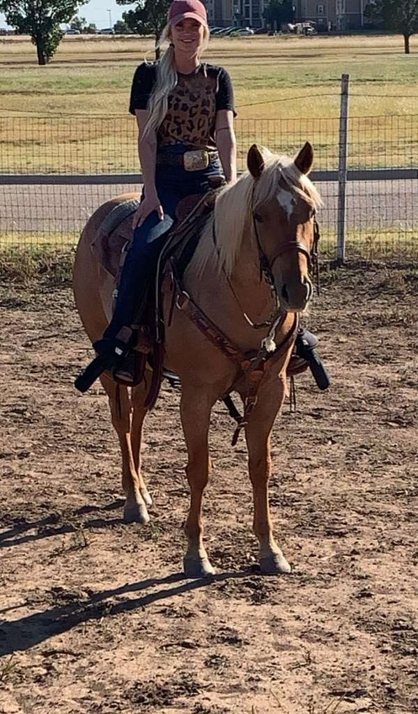 calf-roping-quarter-horse