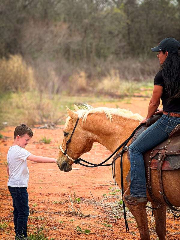 calf-roping-quarter-horse