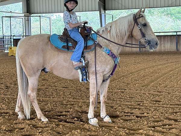 husband-safe-quarter-horse