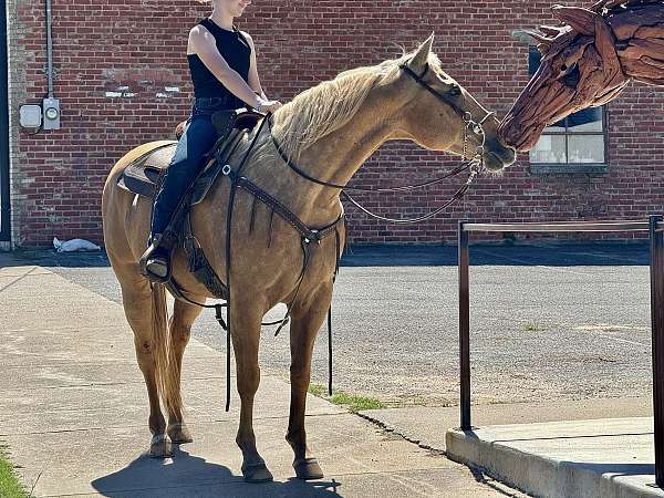 rodeo-quarter-horse