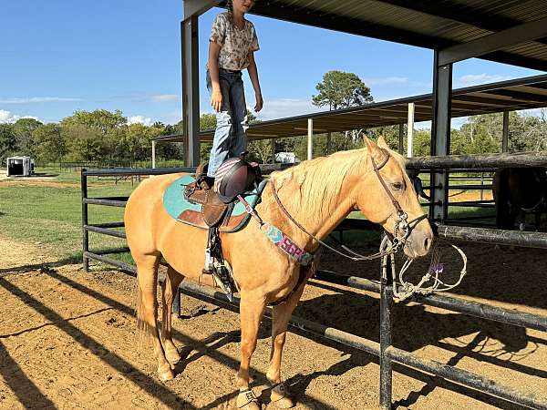 ranch-versatility-quarter-horse