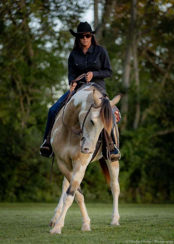 buckskin-shire-horse