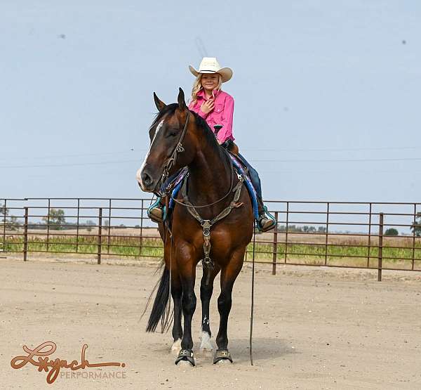 calf-roping-quarter-horse