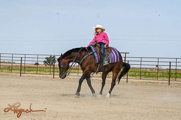 performance-quarter-horse