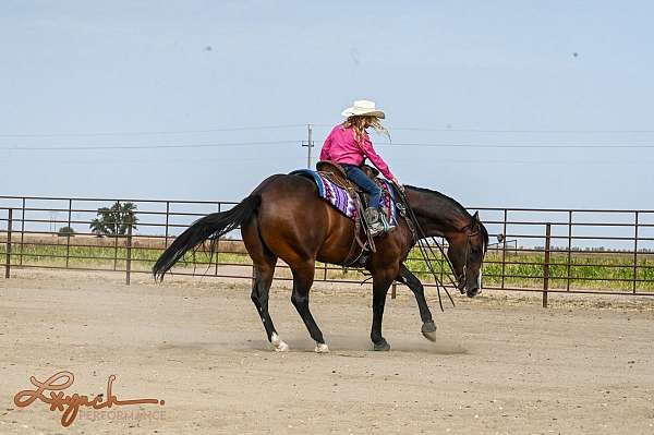 ranch-versatility-quarter-horse