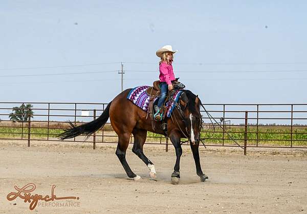 reined-cow-quarter-horse