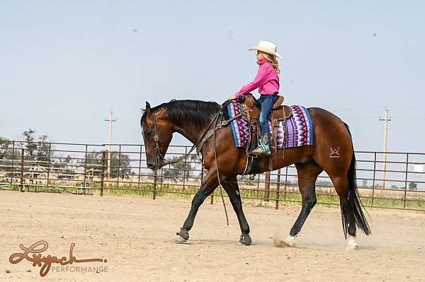 roping-quarter-horse