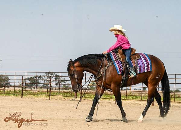 trail-riding-quarter-horse