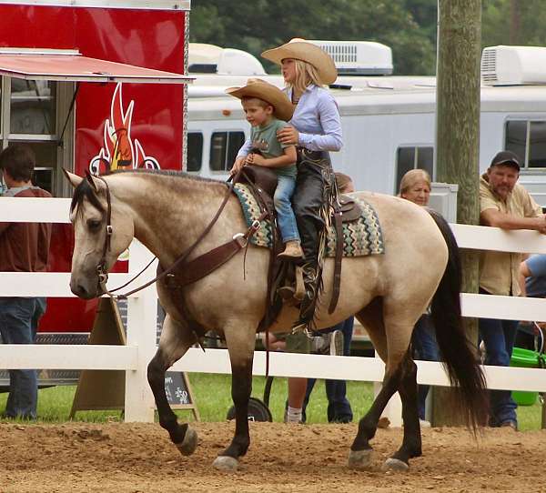 athletic-draft-horse