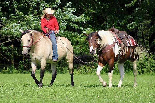 cross-draft-horse