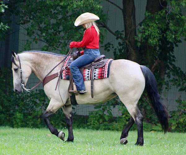 husband-safe-draft-horse