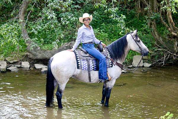 ranch-versatility-draft-horse