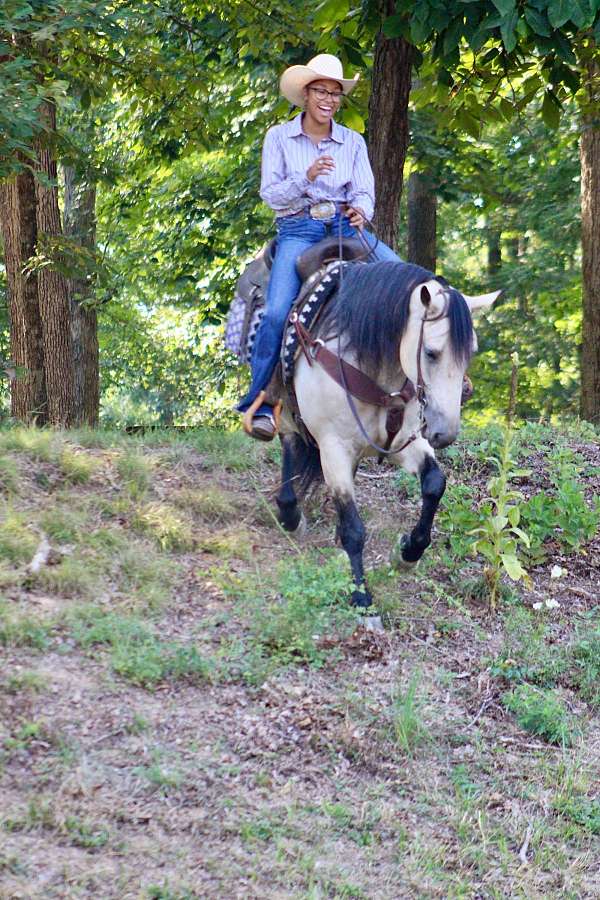 ridden-western-draft-horse