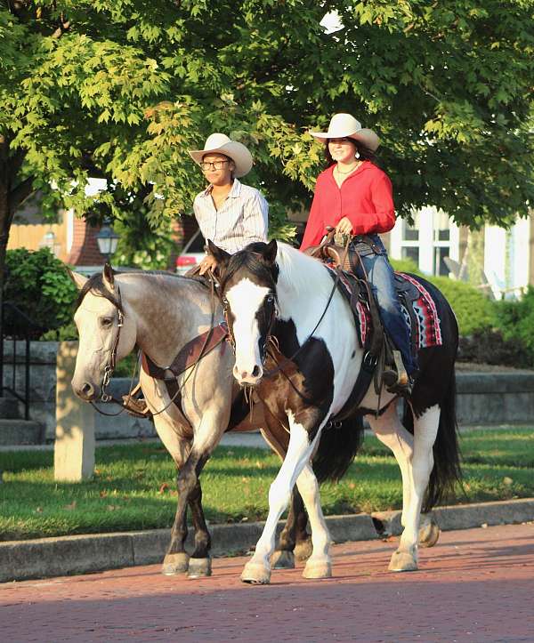 trail-riding-draft-horse