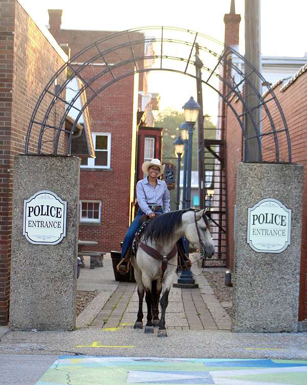 western-dressage-draft-horse