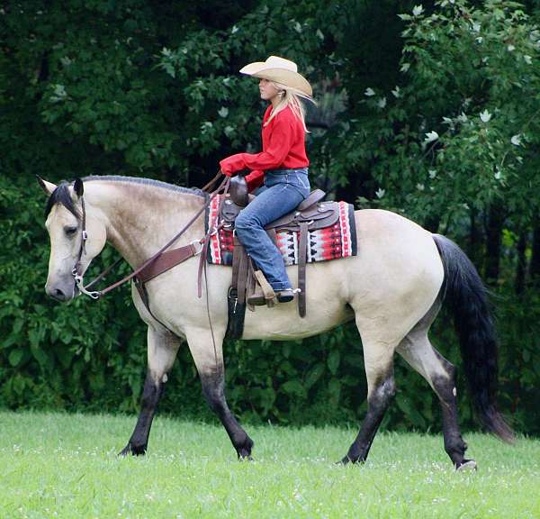 working-cattle-draft-horse