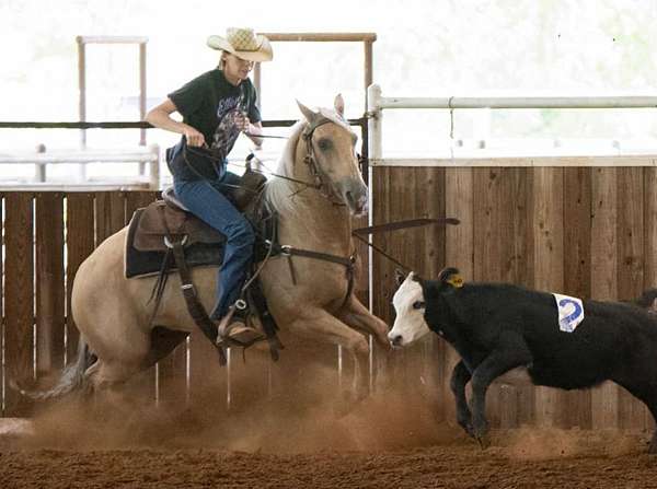 roping-quarter-horse