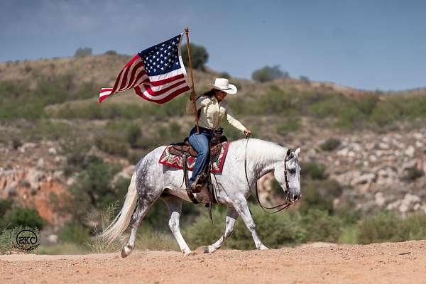 jumping-draft-horse