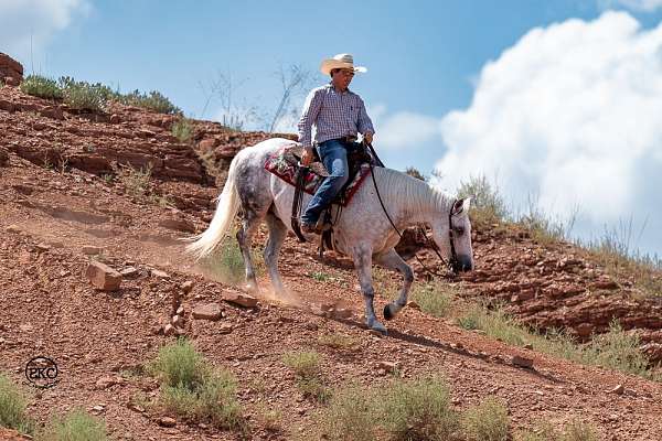 kid-safe-draft-horse