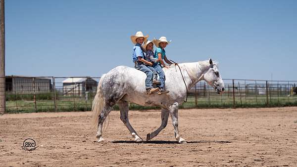 lesson-draft-horse