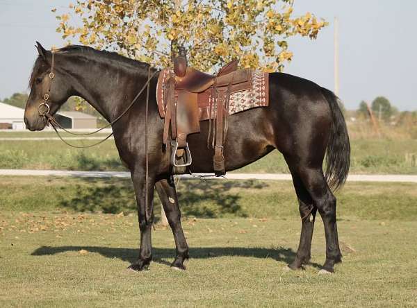 balanced-draft-horse