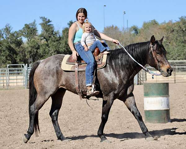 wife-safe-quarter-pony