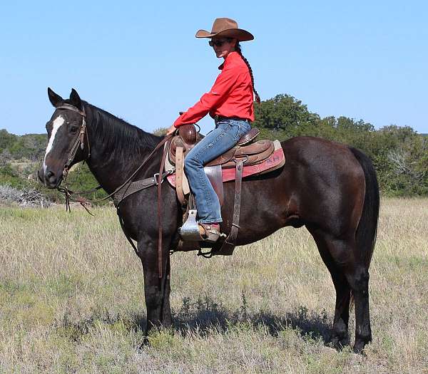 horsemanship-quarter-horse