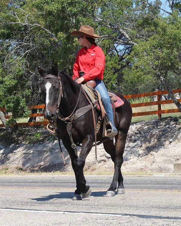 ranch-versatility-quarter-horse