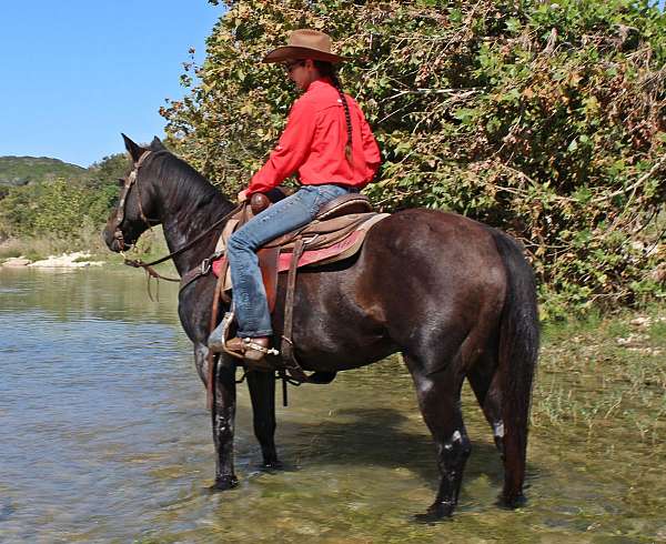 ranch-work-quarter-horse