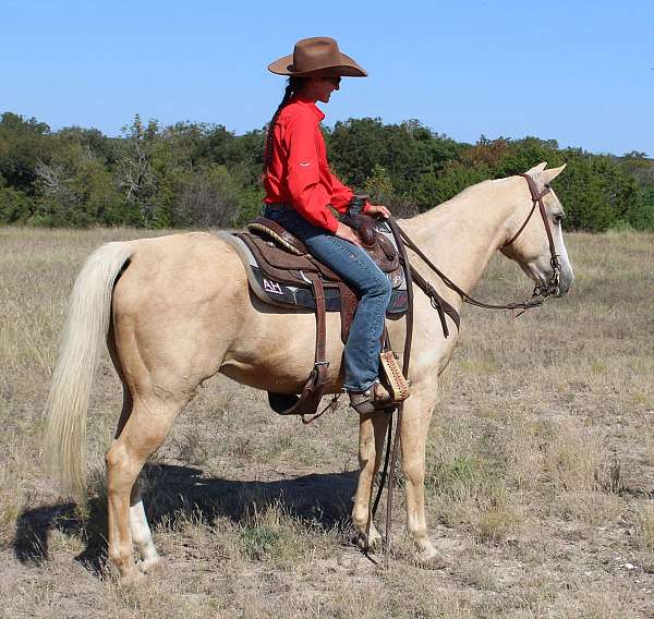 husband-safe-quarter-pony