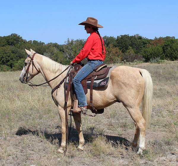 ranch-quarter-pony