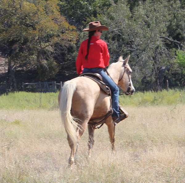 ridden-western-quarter-pony