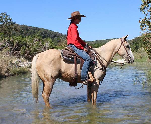 trail-quarter-pony