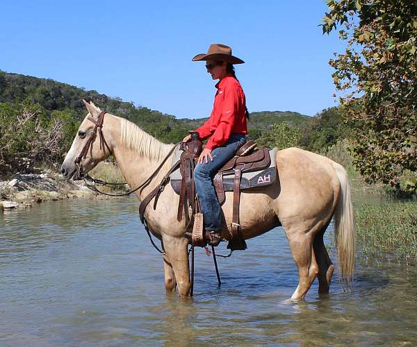 trail-riding-quarter-pony