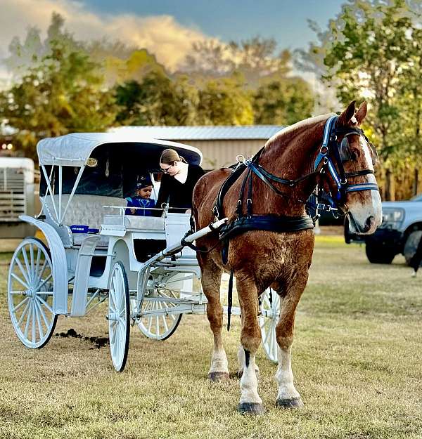 boys-draft-horse