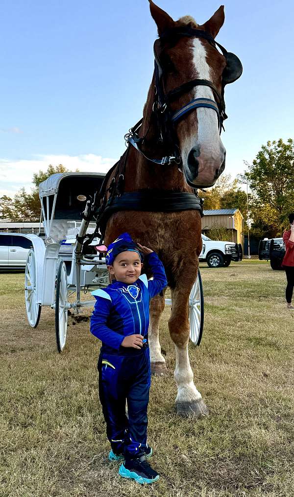 break-draft-horse