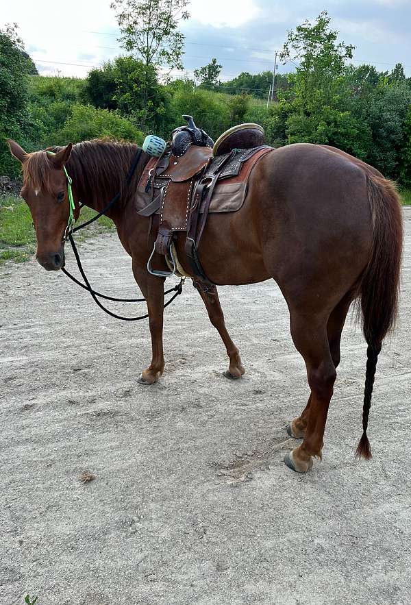 barrel-racing-quarter-pony