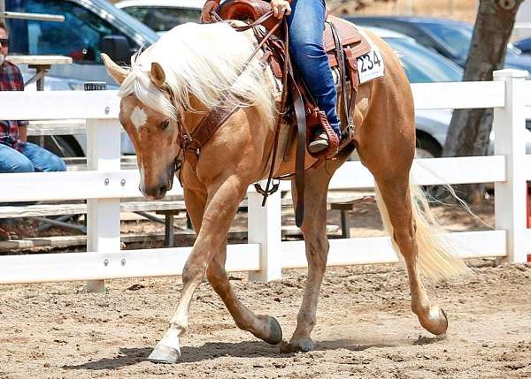 palomino-one-white-foot-horse