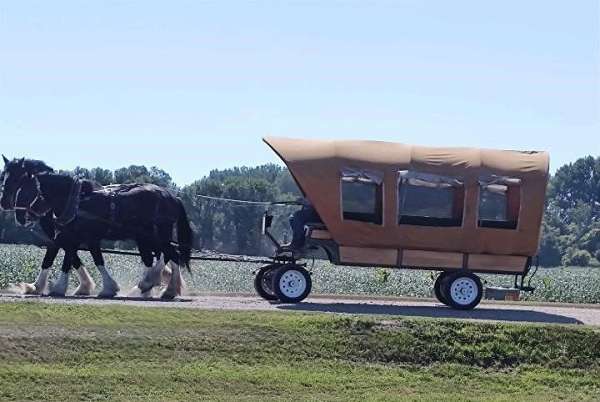 driving-clydesdale-horse