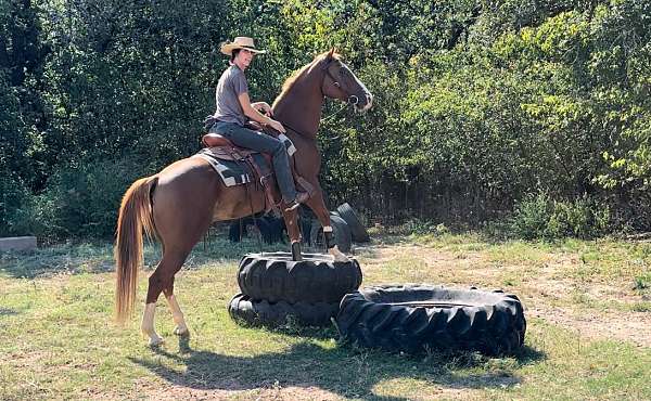 cowboy-races-horse