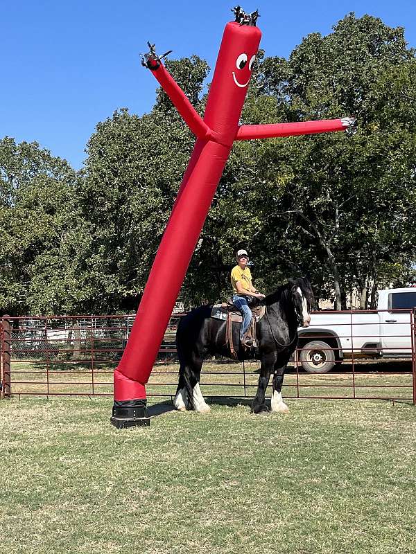 bareback-shire-pony