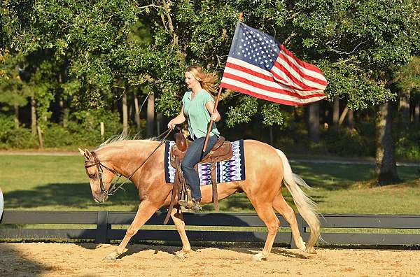 kid-safe-quarter-horse