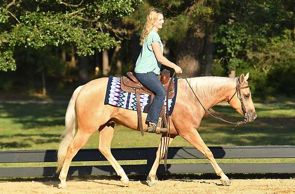 bombproof-quarter-horse