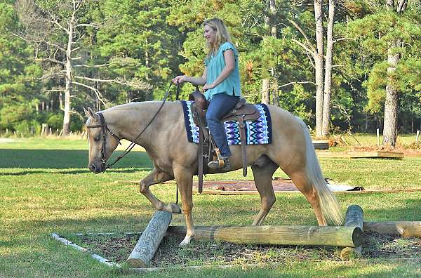 gentle-quarter-horse