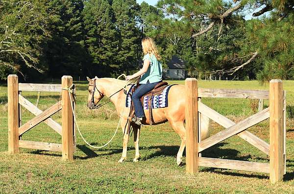 western-quarter-horse