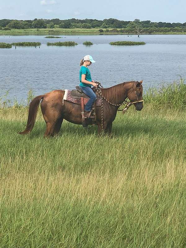 breakaway-quarter-horse