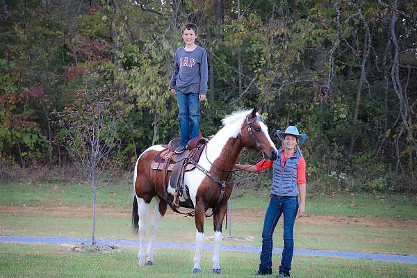 all-around-paint-horse